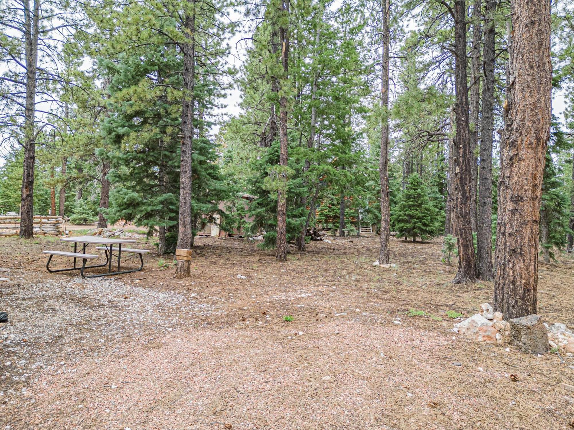 Villa Hillside Hideaway Duck Creek Village Exterior foto